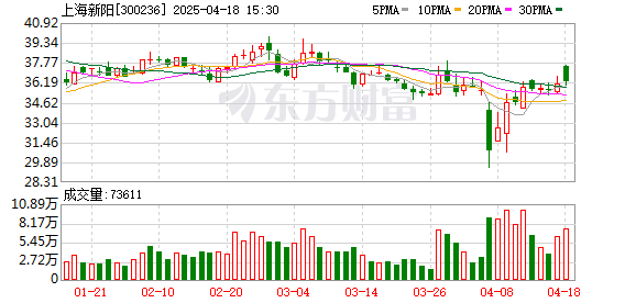 恒运资本 上海新阳：去年营收14.75亿元 同比增长约22%