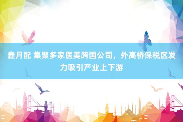 鑫月配 集聚多家医美跨国公司，外高桥保税区发力吸引产业上下游