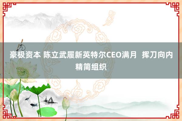 豪极资本 陈立武履新英特尔CEO满月  挥刀向内精简组织