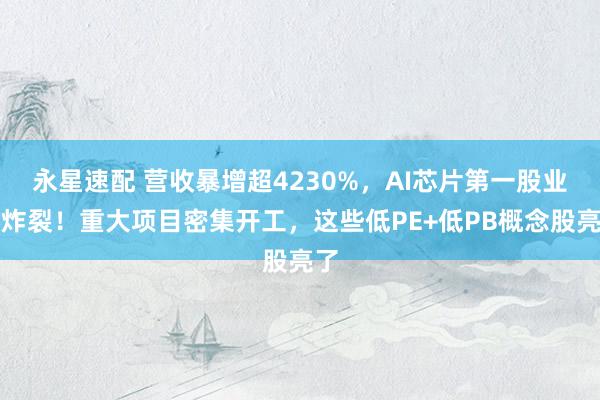 永星速配 营收暴增超4230%，AI芯片第一股业绩炸裂！重大项目密集开工，这些低PE+低PB概念股亮了
