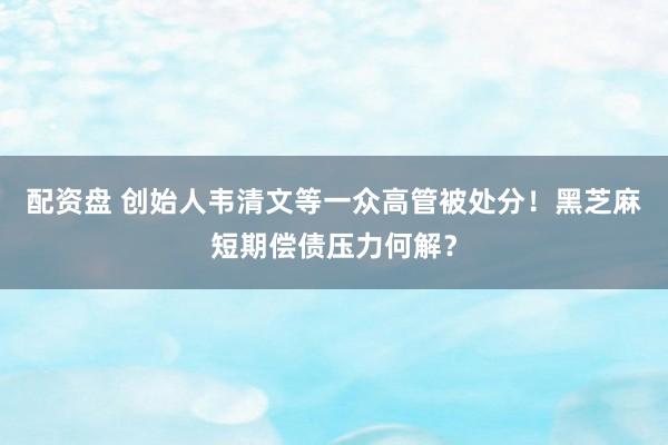 配资盘 创始人韦清文等一众高管被处分！黑芝麻短期偿债压力何解？