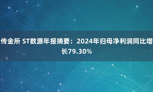 传金所 ST数源年报摘要：2024年归母净利润同比增长79.30%