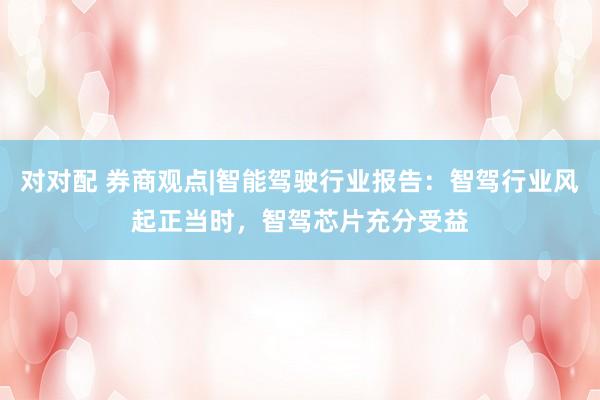 对对配 券商观点|智能驾驶行业报告：智驾行业风起正当时，智驾芯片充分受益