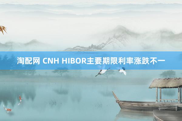 淘配网 CNH HIBOR主要期限利率涨跌不一